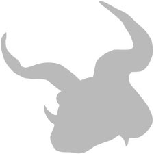 Catoblepon's silhouette (White) A silhouette of Catoblepon's profile skull, all painted in white.